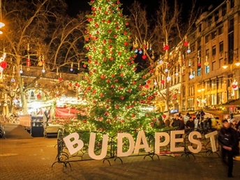 Будимпешта - Виена -Сопствена програма