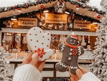 АВИОНСКИ ПРОГРАМИ