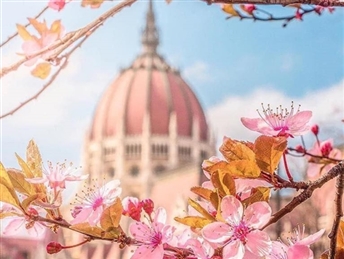 Фиренца и Рим 15.03.2026