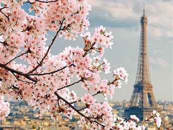 ПАРИЗ 12.03.2026