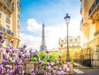 Париз| Виена| Прага | Минхен | Салзбург 4НП