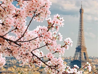 Париз 24.05.2026