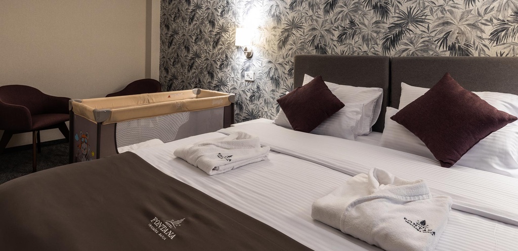 HOTEL FONTANA 4* VRNJACKA BANJA