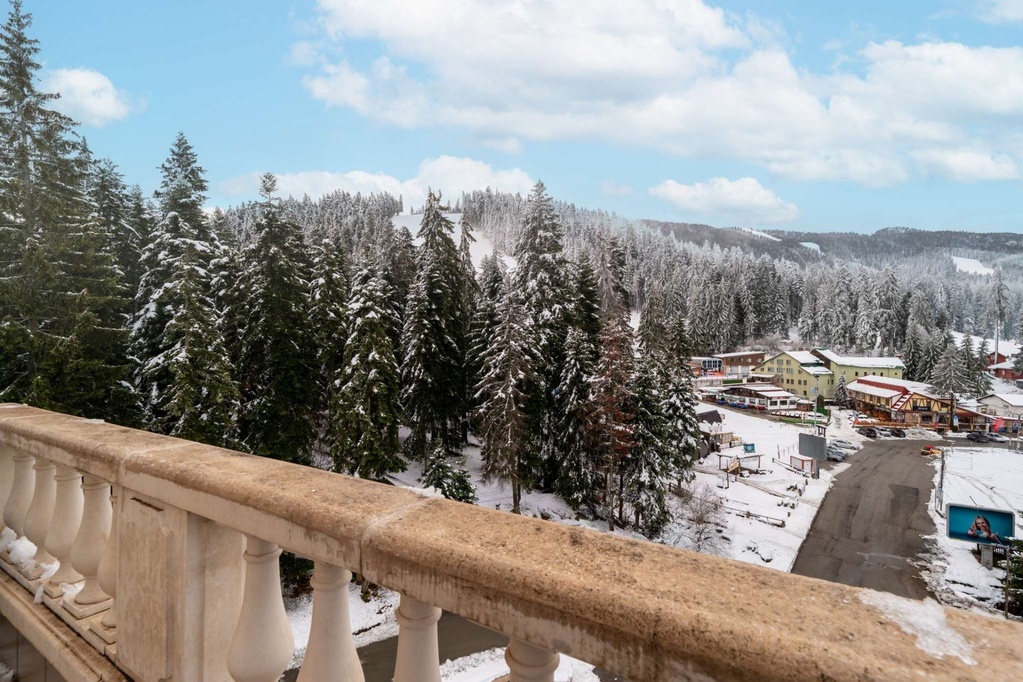 Hotel Festa Winter Palace 5*